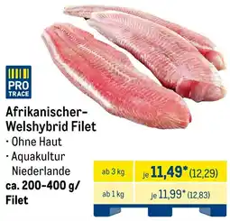 METRO Afrikanischer-Welshybrid Filet Angebot