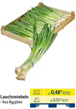 METRO Lauchzwiebeln Angebot