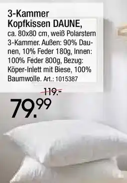 Zurbrüggen 3-Kammer Kopfkissen DAUNE Angebot