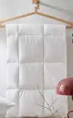 Zurbrüggen Winterdecke POLARSTERN Angebot