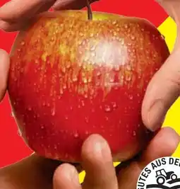 Lidl Äpfel Angebot