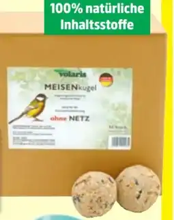 Thomas Philipps Volaris Meisenknödel Angebot