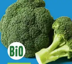 Lidl Bio Brokkoli Angebot