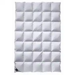 XXXLutz Billerbeck Ganzjahresbett Nena Angebot