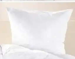 porta Künsemüller Kopfkissen Eden De Luxe Angebot