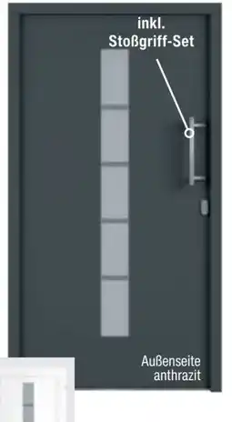 toom Baumarkt Alu-Kunststoffhaustür Calgary Angebot