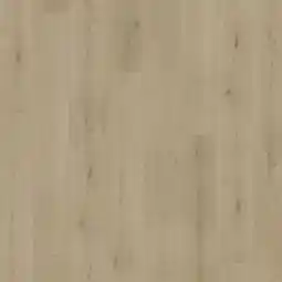 toom Baumarkt Vinylboden Eternal Oak Angebot