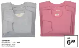 Zeeman Sweater Angebot