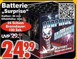 Wreesmann Batterie surprise Angebot