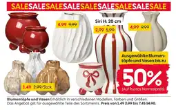 Rusta Blumentöpfe und vasen Angebot