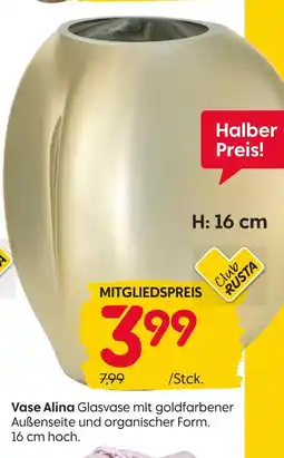 Rusta Vase alina Angebot