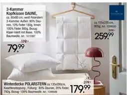 Zurbrüggen Billerbeck 3-kammer kopfkissen daune Angebot