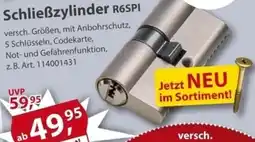 Sonderpreis Baumarkt Schließzylinder R6SPI Angebot