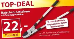 Sonderpreis Baumarkt Ratschen-Astschere mit Teleskopfunktion Angebot