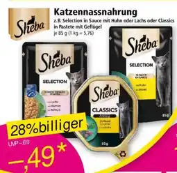 Norma Katzennassnahrung Angebot
