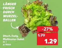Kaufland Dtsch./belg. Multicolor-Salat Kl. I je Stück Angebot