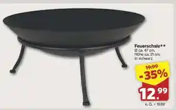 Famila Nord Ost Feuerschale Angebot