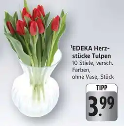Edeka EDEKA Herzstücke Tulpen Angebot