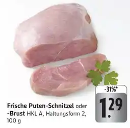 Edeka Frische Puten-Schnitzel oder -Brust Angebot