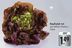 Edeka Kopfsalat rot Angebot