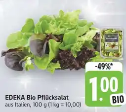 Edeka EDEKA Bio Pflücksalat Angebot