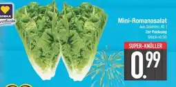Edeka Mini-Romanasalat Angebot