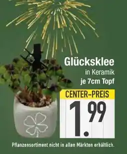 Edeka Glücksklee in Keramik Angebot