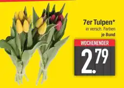 Edeka 7er Tulpen Angebot