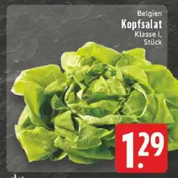 Edeka Kopfsalat Angebot
