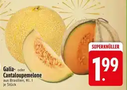 Edeka Galia- oder Cantaloupemelone Angebot