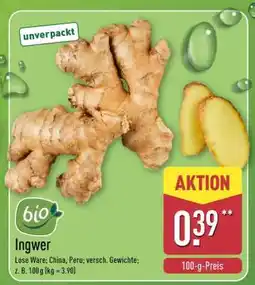Aldi Nord Ingwer Angebot