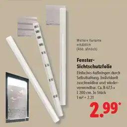 Lidl Fenster-Sichtschutzfolie Angebot