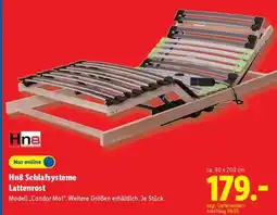 Lidl Hn8 Schlafsysteme Lattenrost Angebot