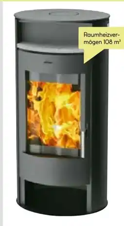 BayWa Kaminofen Borneo Stahl Angebot