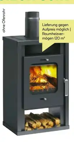 BayWa Kaminofen Katharina Angebot