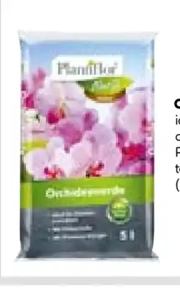 BayWa Plantaflor Orchideenerde Angebot