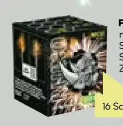 BayWa Nico Feuerwerk Rhino Angebot