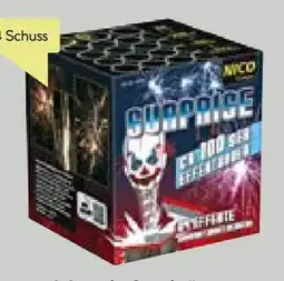 BayWa Nico Feuerwerk Feuerwerksbatterie Surprise Angebot