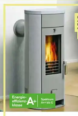 BayWa Kaminofen Alaska 2.0 Angebot