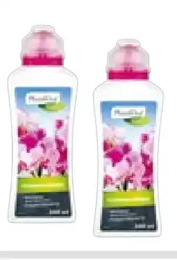 BayWa Plantiflor Orchideendünger Angebot
