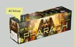 BayWa Nico Feuerwerk Feuerwerksbatterie Pharaoh Angebot