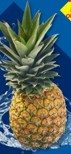 Lidl Ananas Angebot