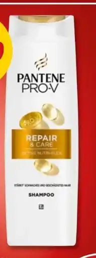 PENNY Pantene Pro-V Shampoo Angebot