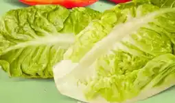 PENNY Marktliebe Romana Salatherzen Angebot