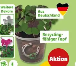 PENNY Glücksklee Angebot