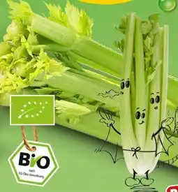 PENNY Naturgut Bio Staudensellerie Angebot