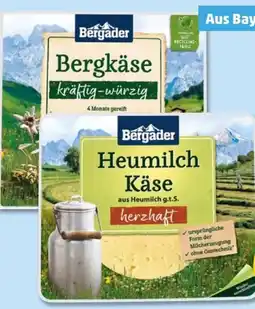 PENNY Bergader Bergkäse Angebot