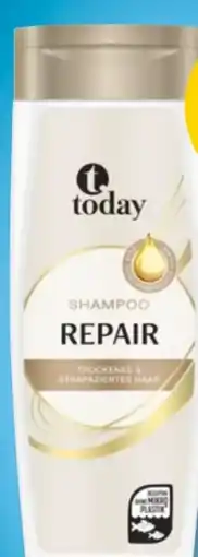 PENNY TodayMen Shampoo Angebot
