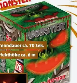 PENNY Weco Feuerwerk Monster Angebot