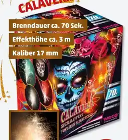 PENNY Weco Feuerwerk Feuerwerksbatterie Calavera Angebot